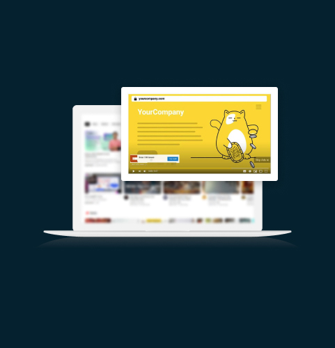 VIDEO ADS